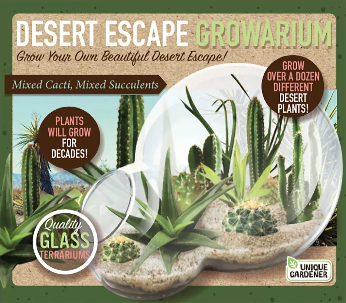 Desert Escape Growarium Plant Kit