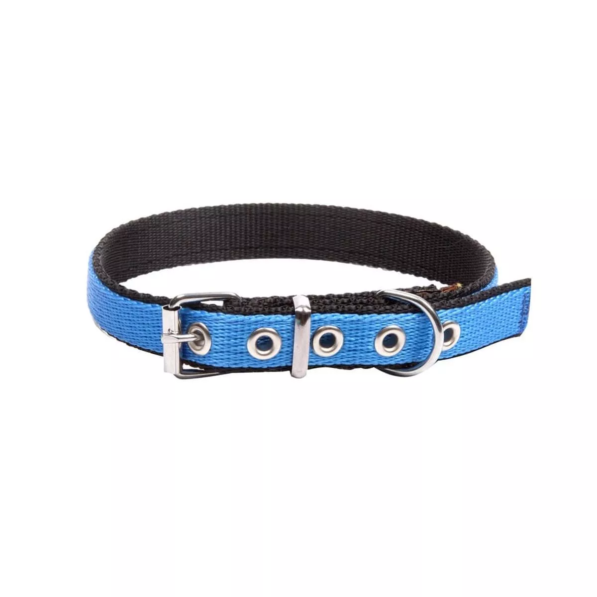 Dingo Energy Collar Blue – Medium | Blue