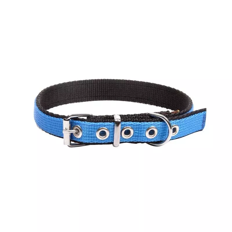 Dingo Energy Collar Blue