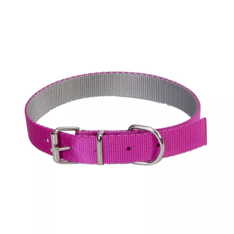 Dingo Energy Silver Collar Pink