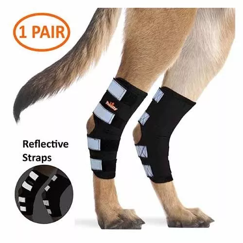 Dog Rear Leg Hock Brace