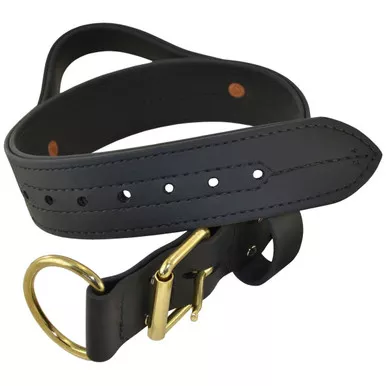 Double Layered 2" Biothane Collar