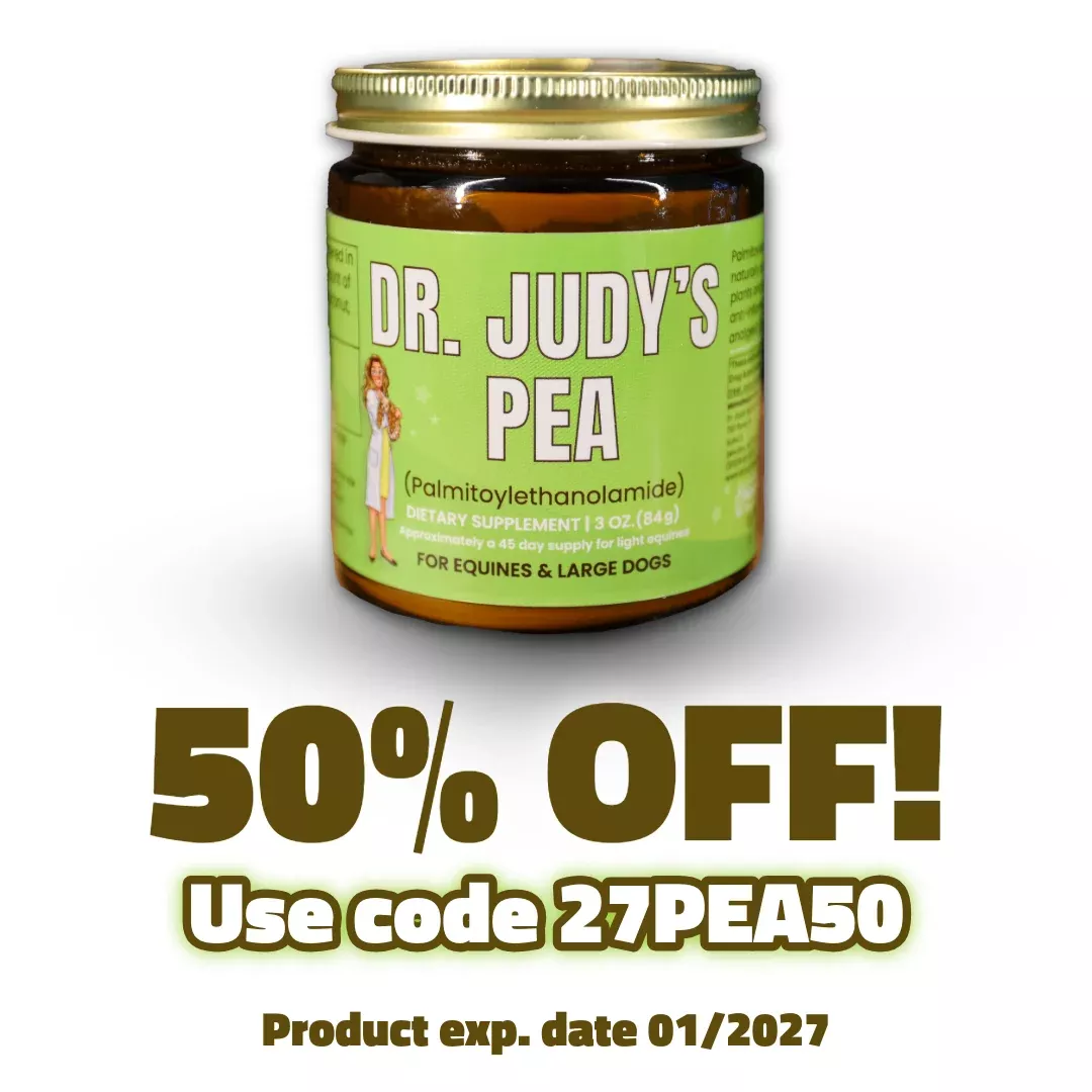 Dr. Judy's Bulk PEA for Equines & Large Dogs - 84g