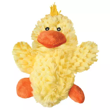 Dr. Noyz Duck