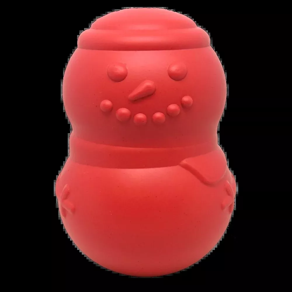 Durable Winter Chew Toy