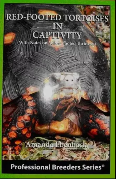 ECO RED FOOT TORT IN CAPTIVITY