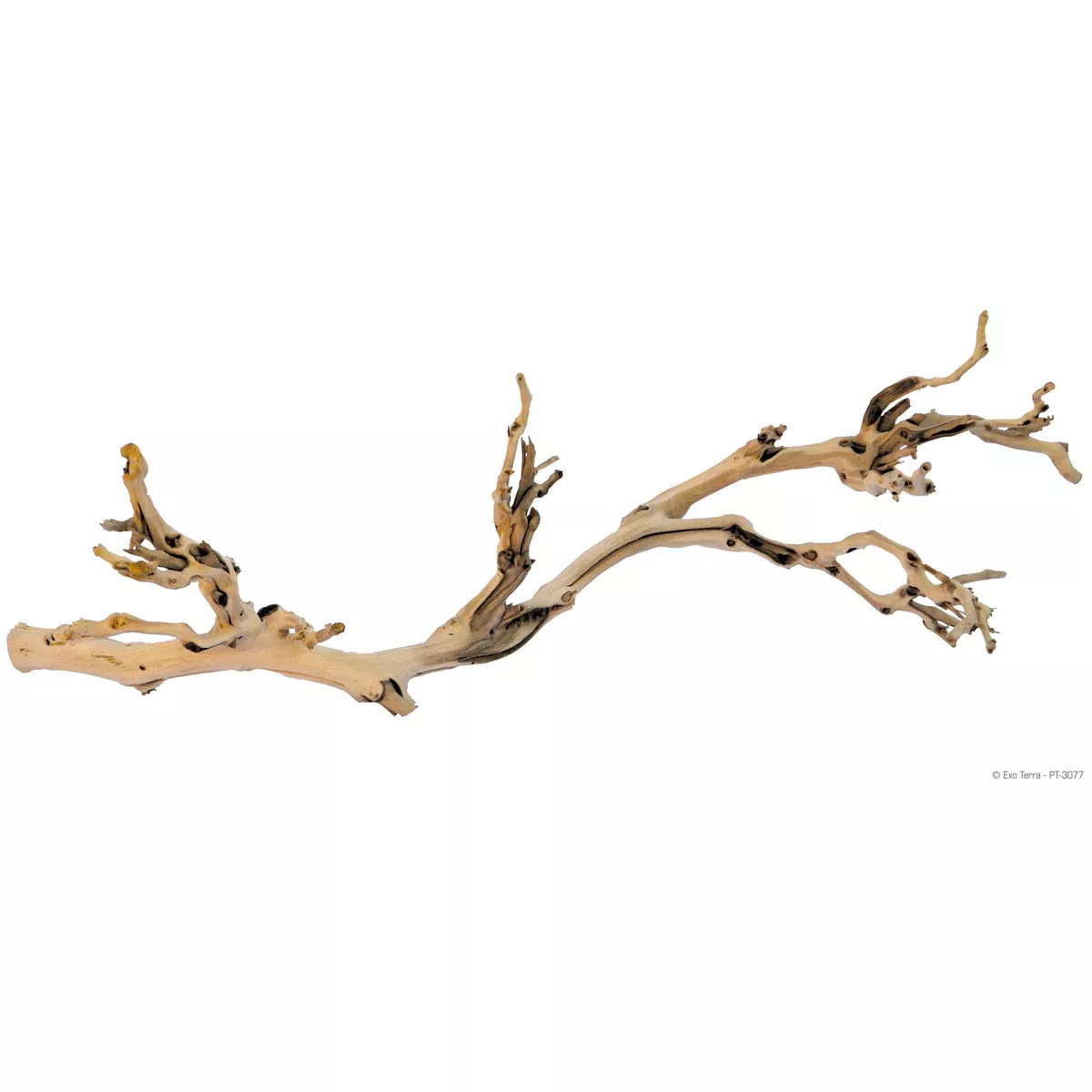 Exo Terra Forest Branch -Large
