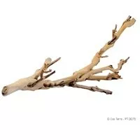 EXO TERRA FOREST BRANCH SM