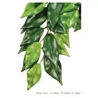 EXO TERRA SILK FICUS MD