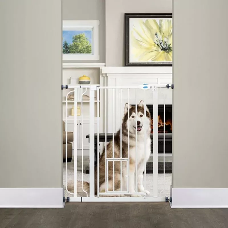 Extra Tall Walk Thru Gate with Pet Door