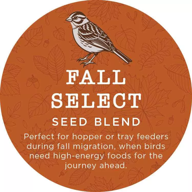 Fall Select Blend - five pound bag
