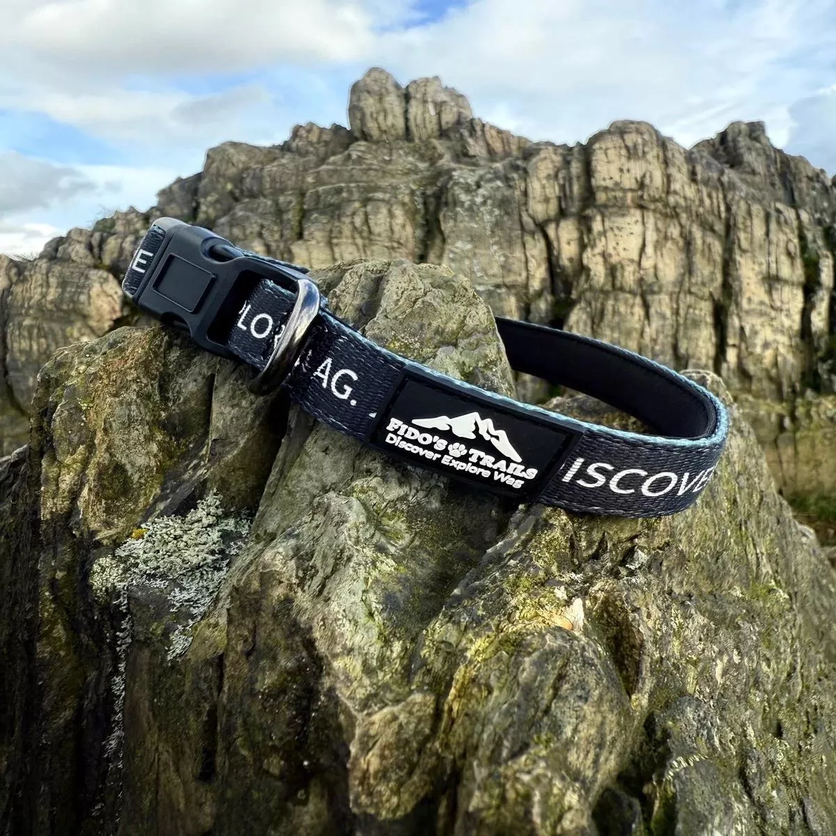 Fido’s Signature Collar