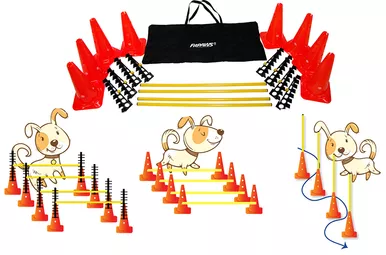 FitPAWS Hurdle Set