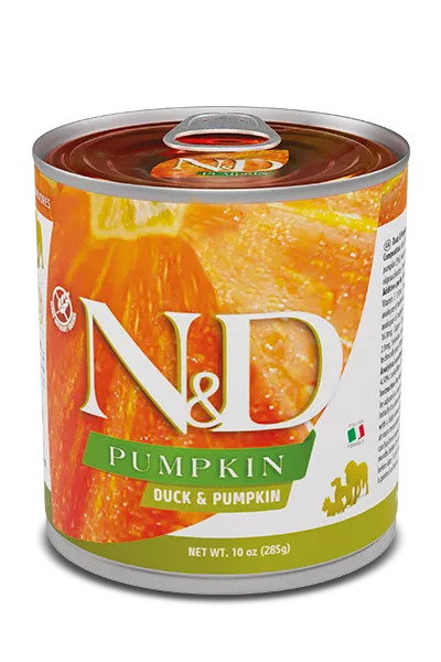 FND P DUCK/PUMPKIN 10 OZ