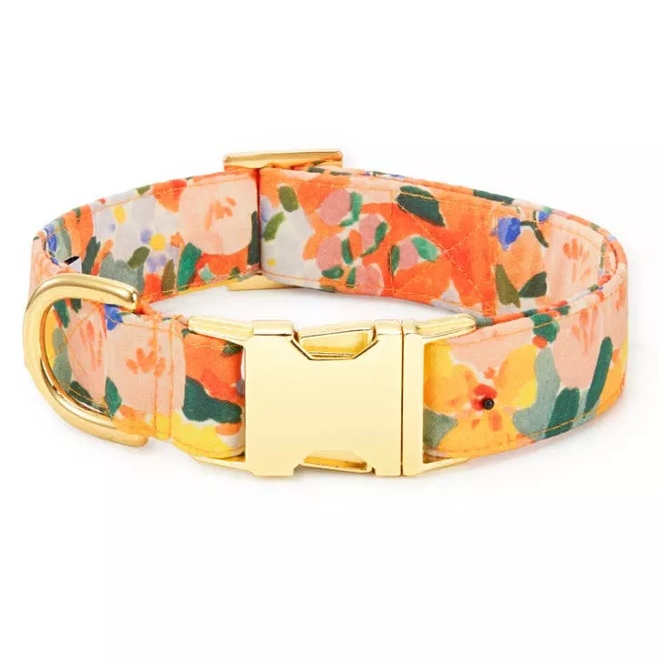The Foggy Dog Collar - Clementine