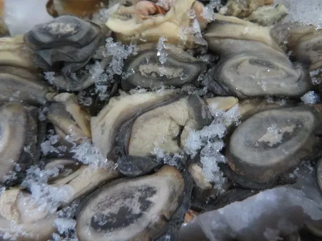 Frozen Snail Meat
