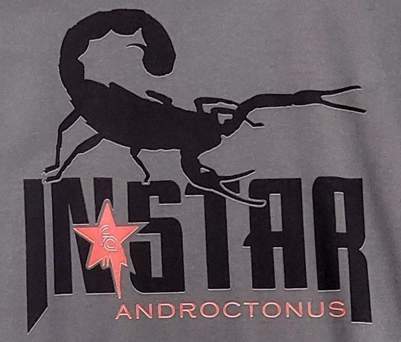 FUL T-SHIRT INSTAR MD