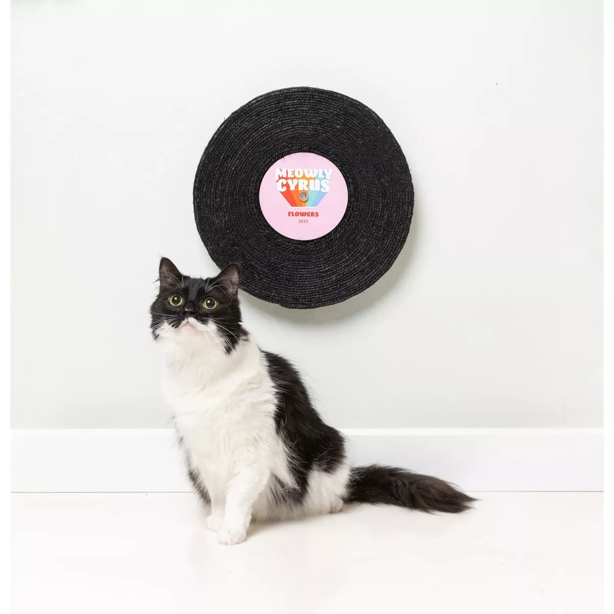 FuzzYard Cat Record Scratcher Meowly Cyrus ***