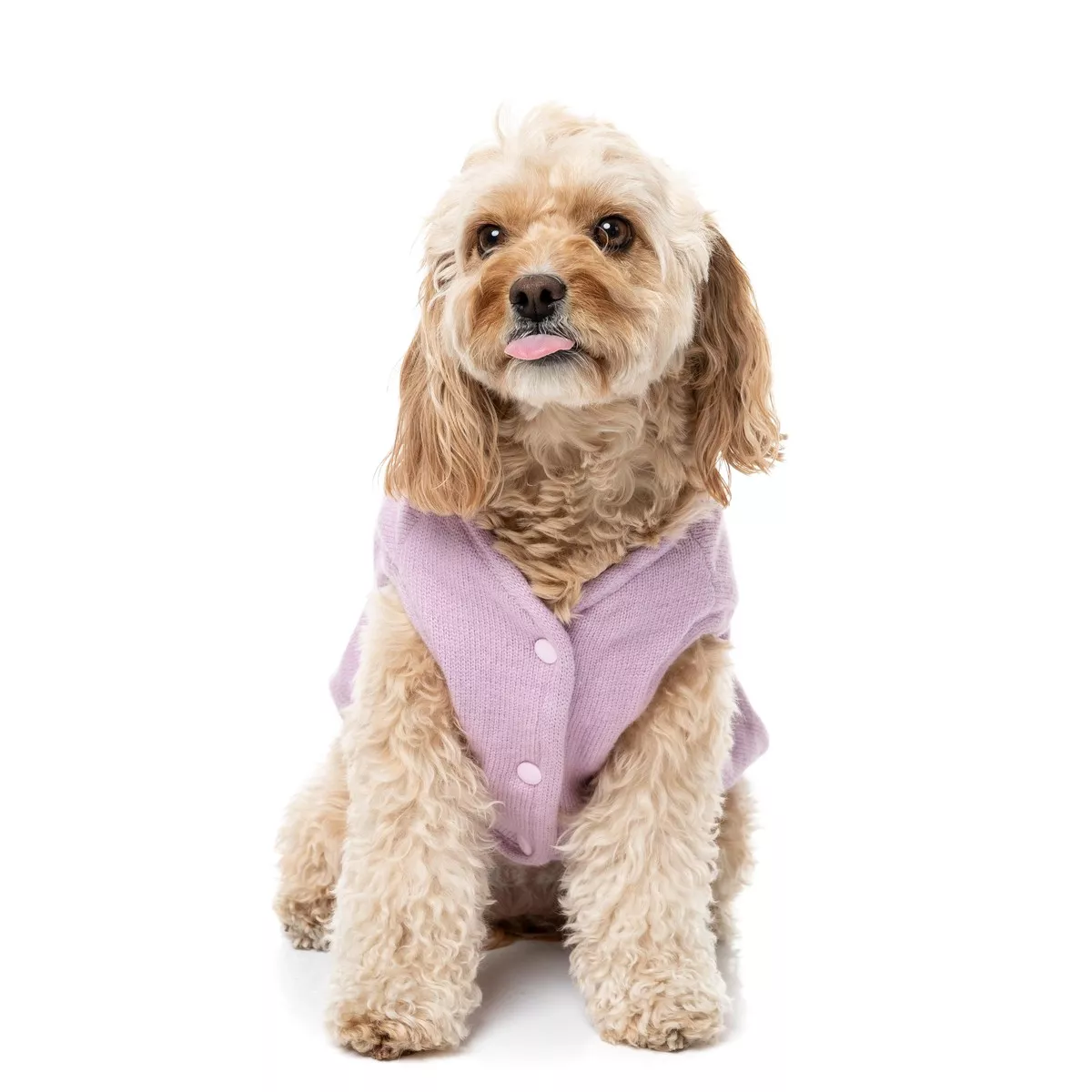 FuzzYard Dog Apparel Knit Pullover Lilac Size 3