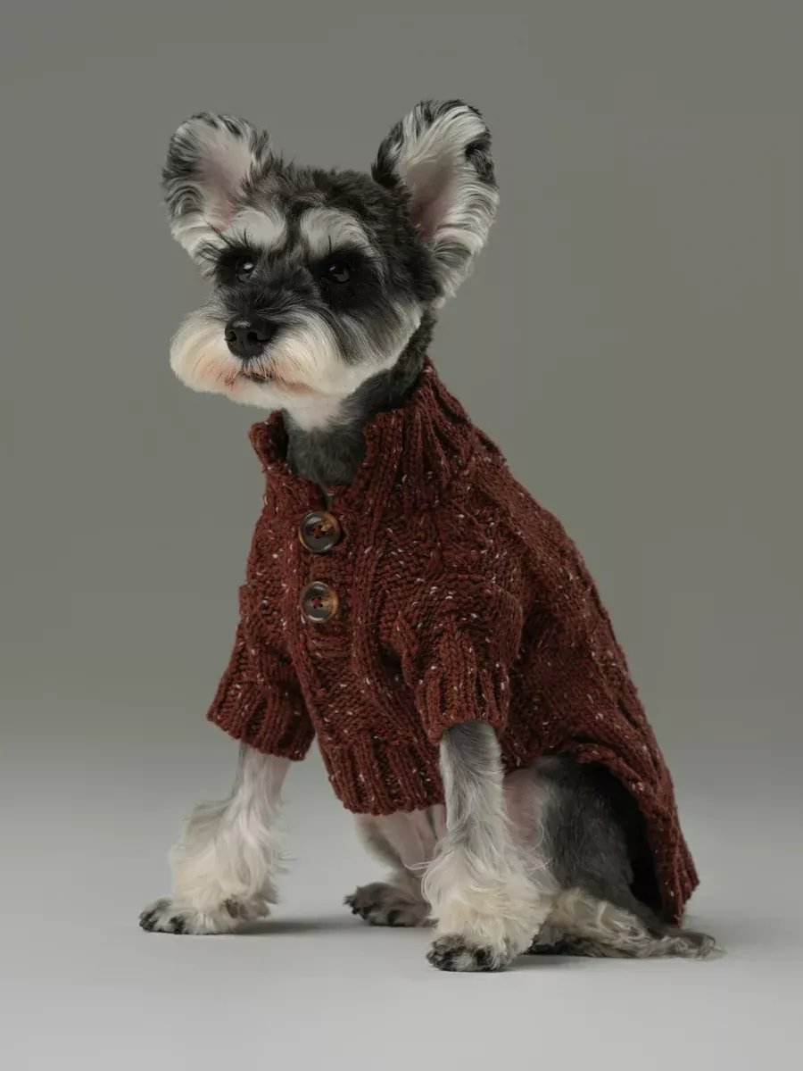 GLACIER PET SWEATER - BURGUNDY