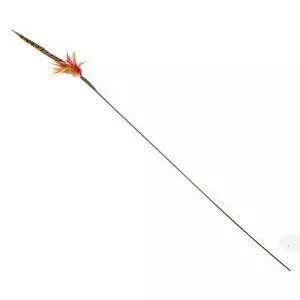 Go Cat Long Wild Thing Tickler