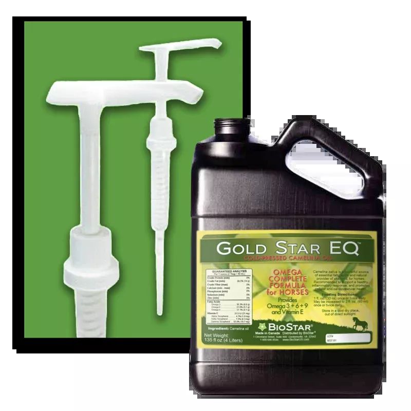 Gold Star EQ Pump