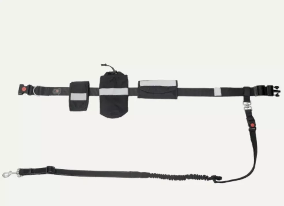 Goo-eez -Waits Bungee Leash
