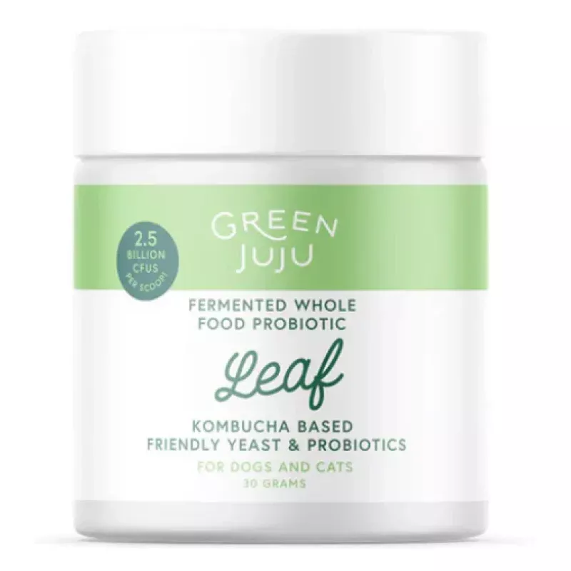 Green Juju Leaf Fermented Kombucha-Based Probiotic
