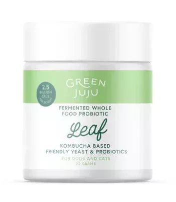 Green Juju | LEAF Probiotics from Kombucha - 30g