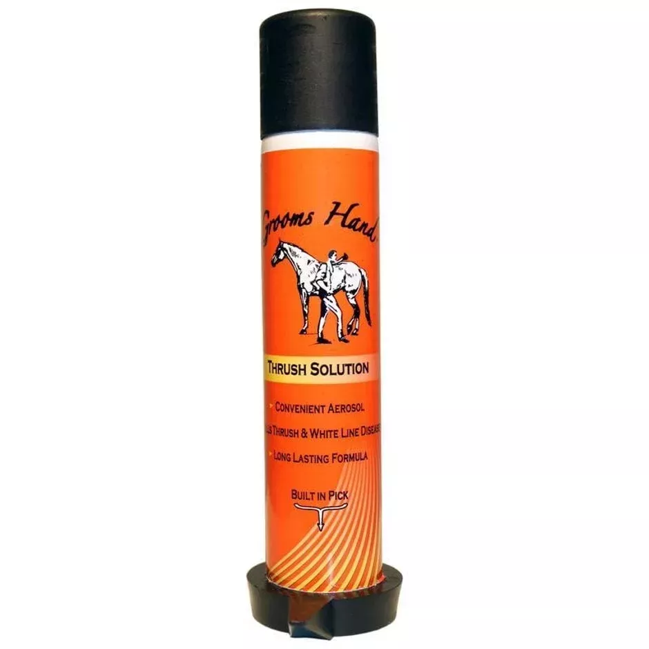 GROOMS HAND HOOF SOL/PICK