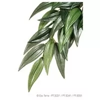 HAG EXO-T SILK RUSCUS SM