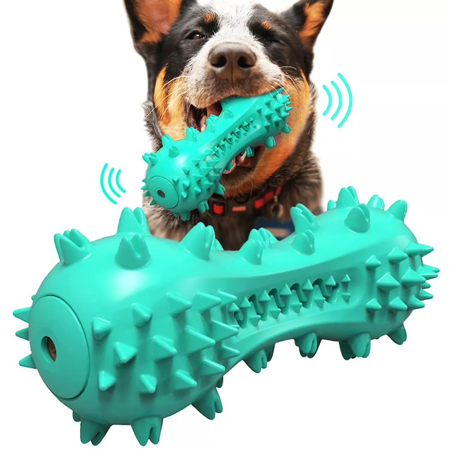 Hanamya Bone-Shaped Toothbrush Dog Chew Toy