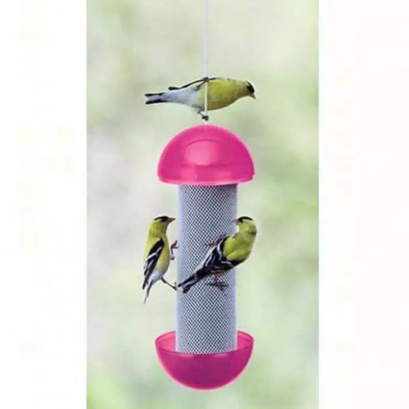 Have a Ball Finch Feeder