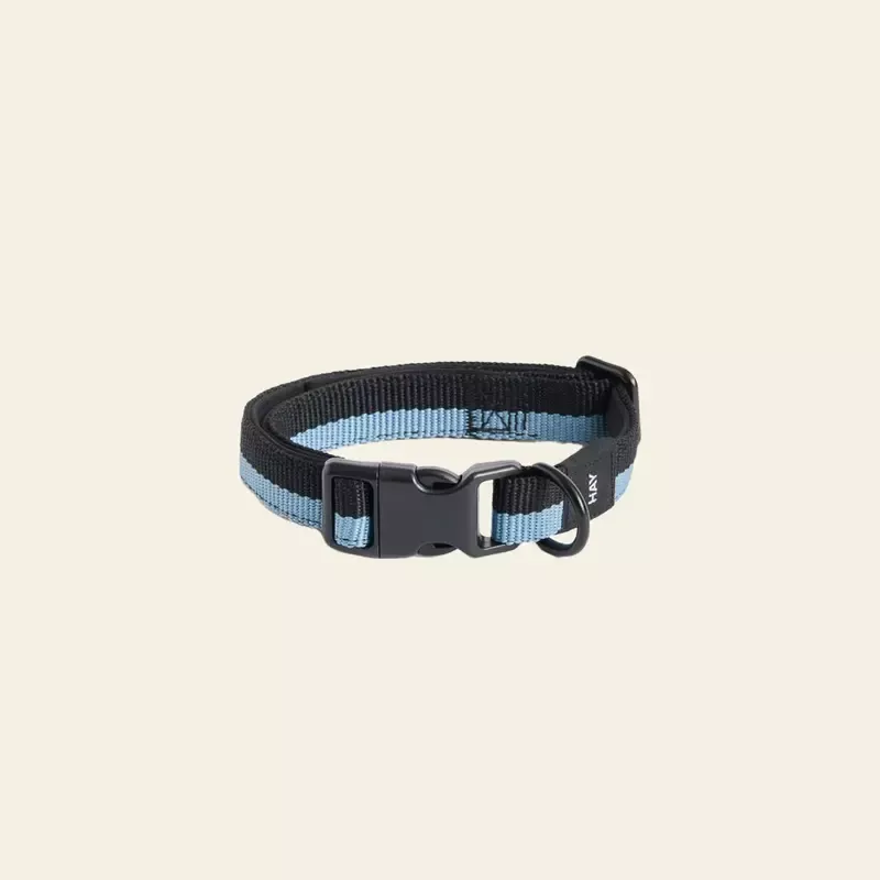 HAY Dogs Collar Flat S/M