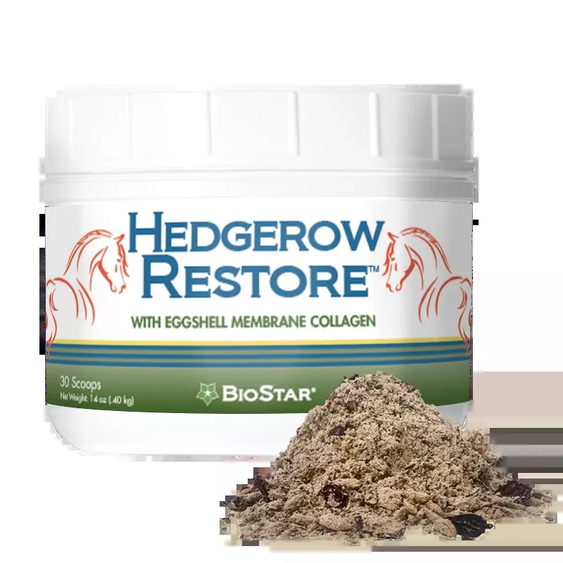 Hedgerow Restore