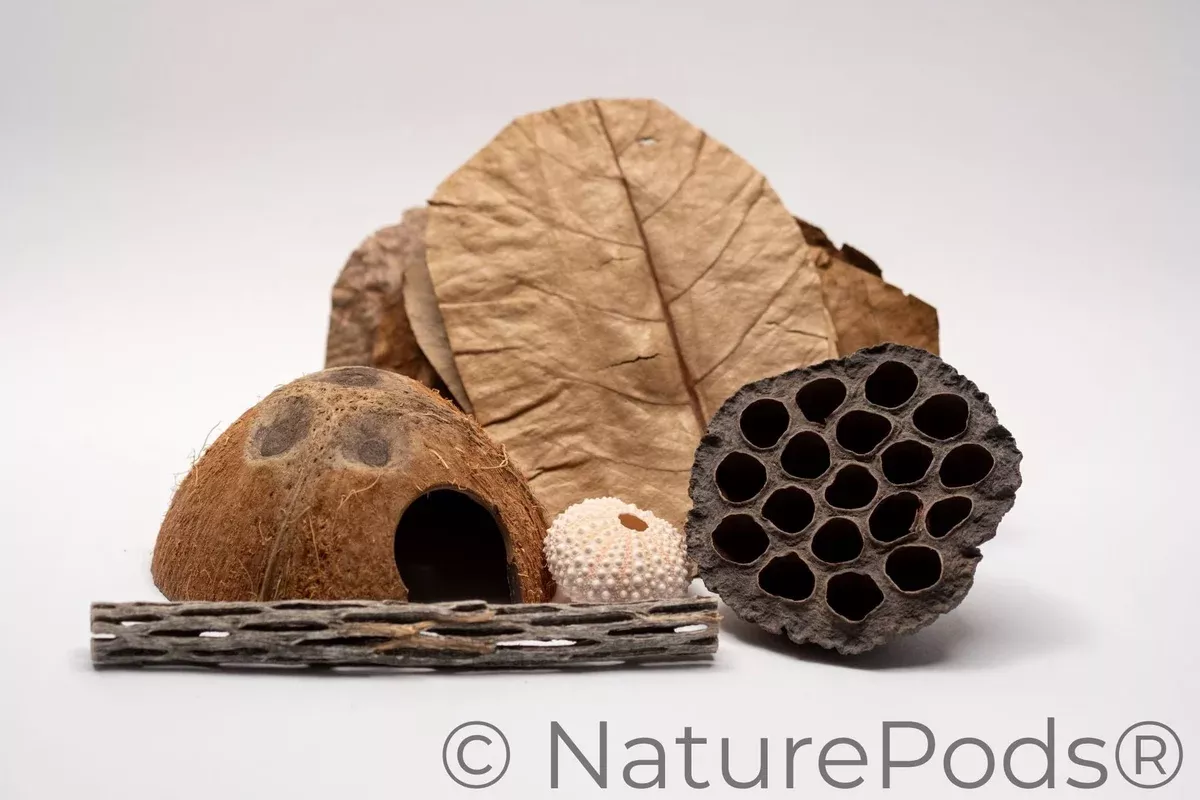 Hermit Crab Botanical Enrichment Pack