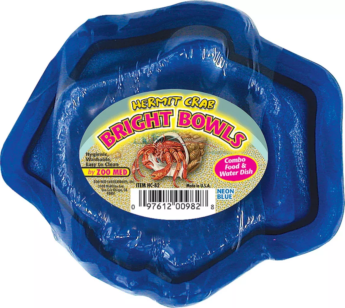 Hermit Crab Bright Bowls