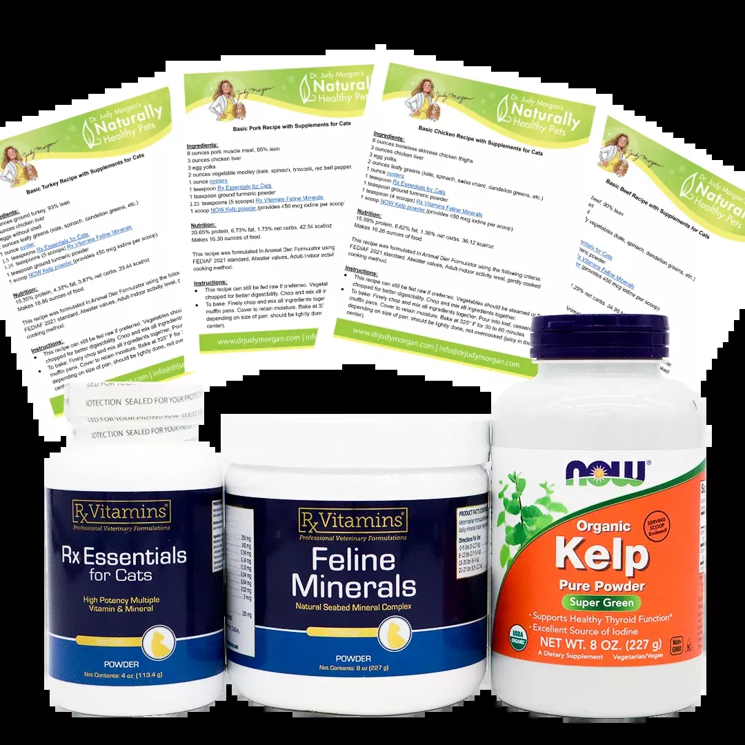 Homemade Cat Food Basic Recipes Bundle