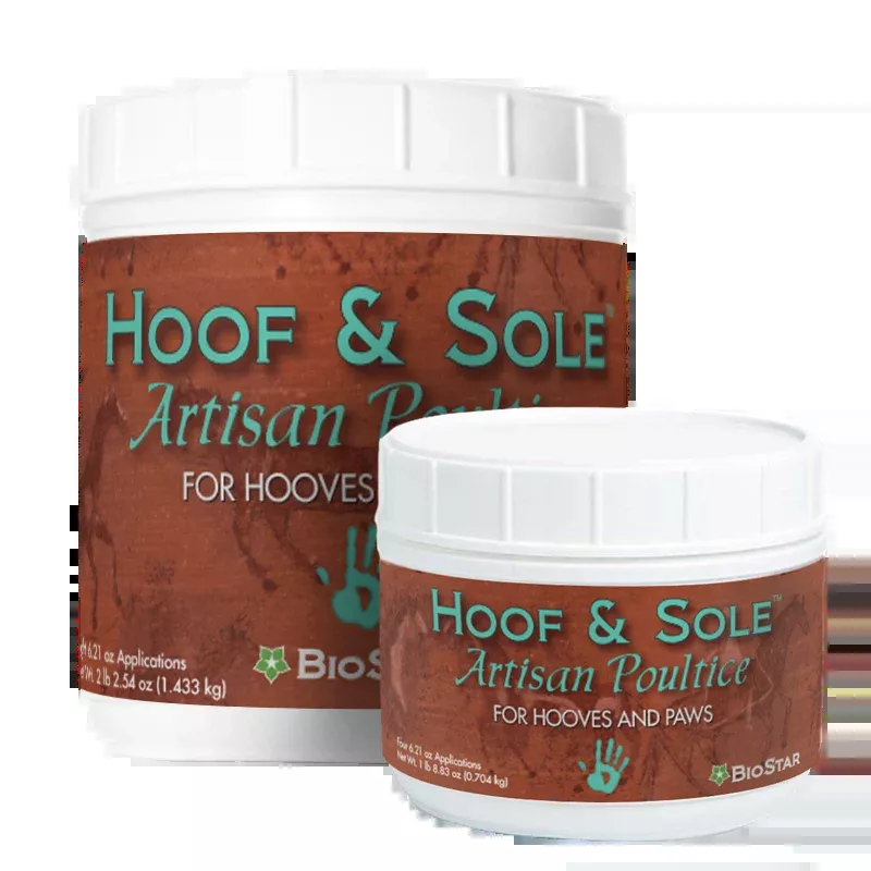Hoof & Sole Artisan Poultice