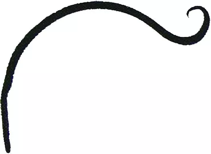Hookery Curved Hanger Upturn Hook 9in Black