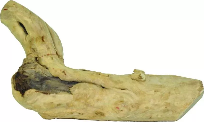 Java Wood Reptile Branch Medium Natural