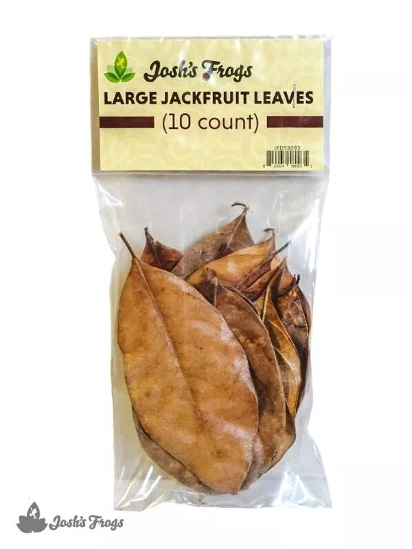JF LEAF LITTER JACKFRUIT