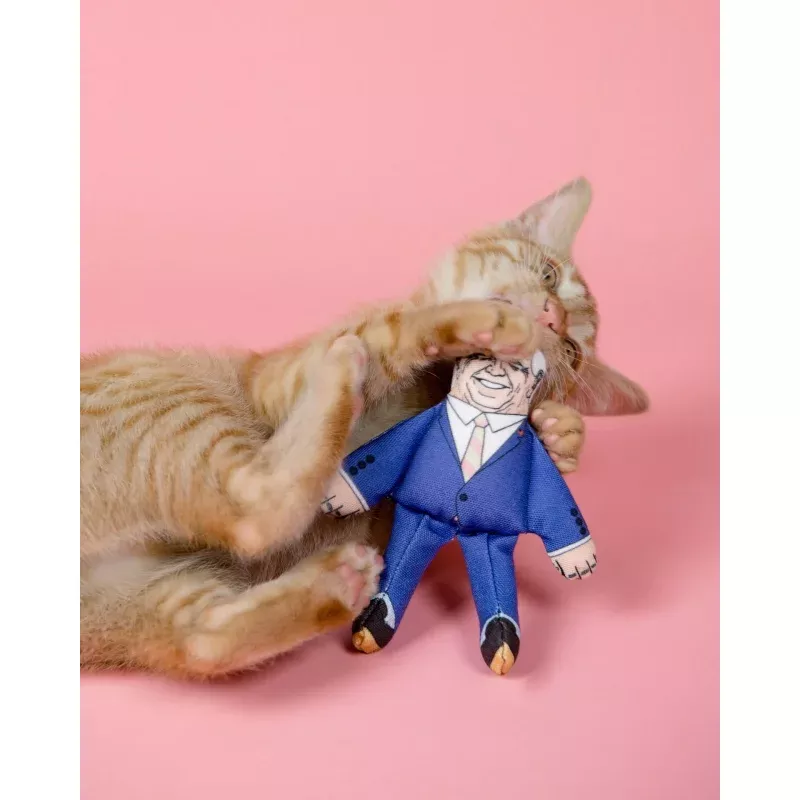 Joe cat toy