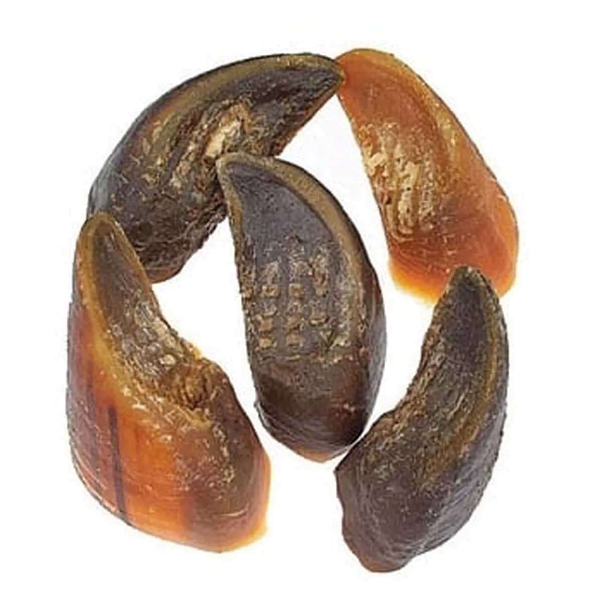 Jones Natural Chews Cow Hooves