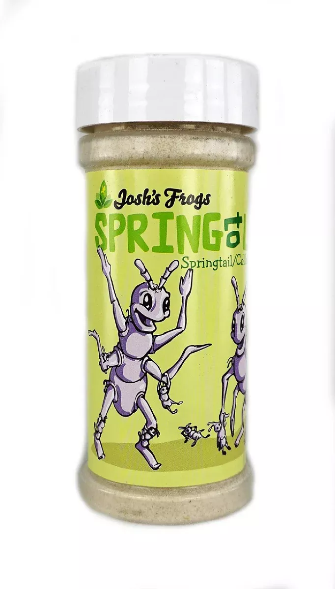 Josh's Frogs Spring to Life