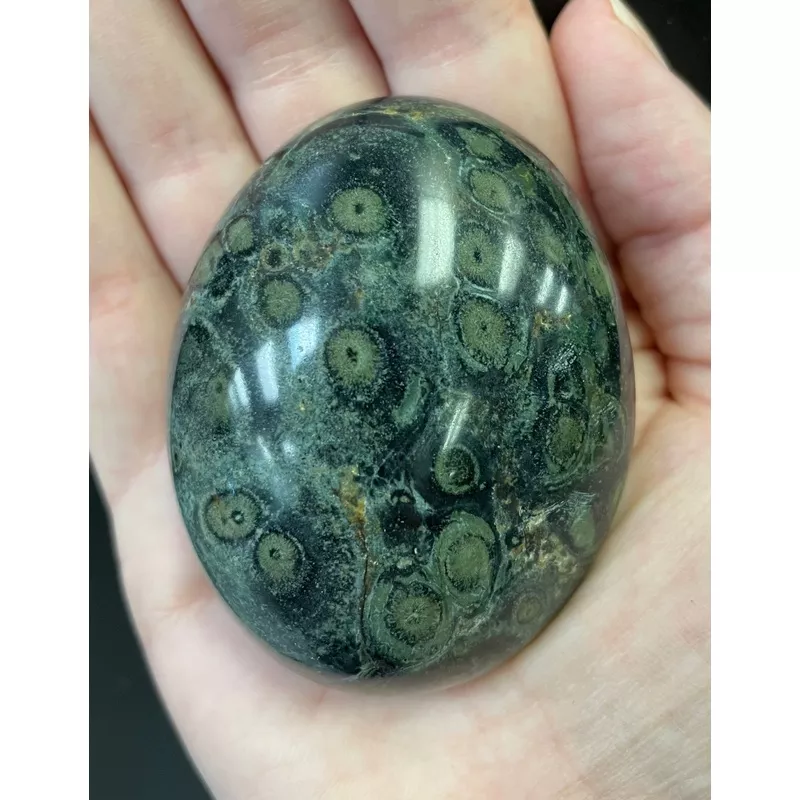 Kambaba Jasper