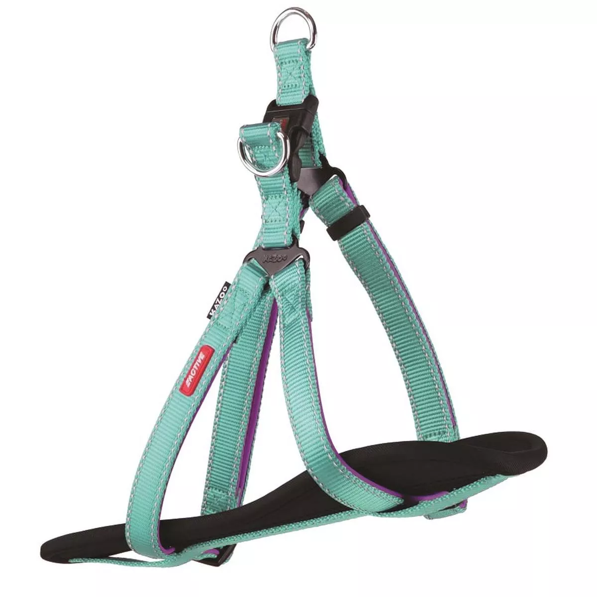 Kazoo Active DD Nylon Walking Harness Aqua Purple