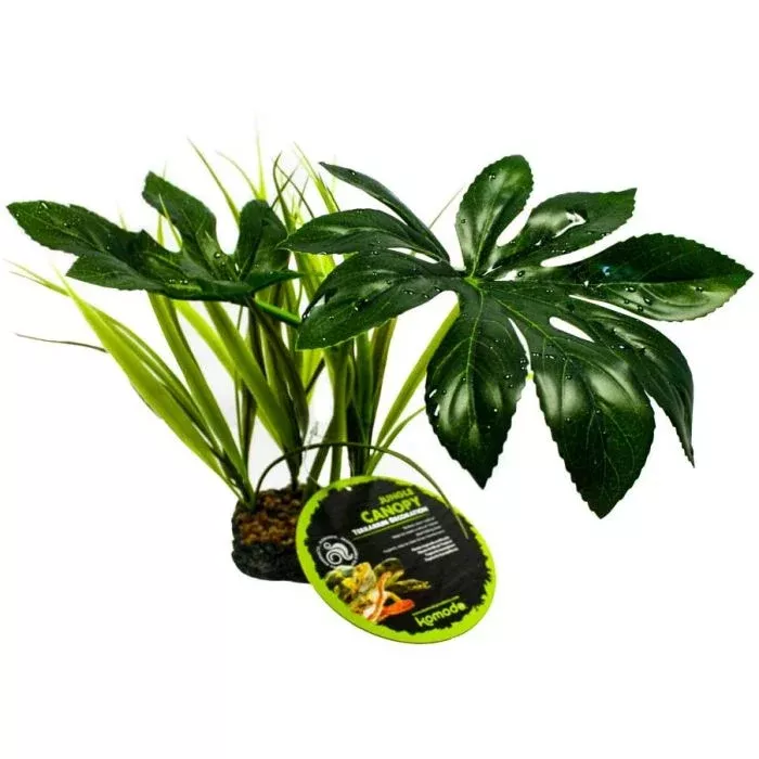 Komodo Jungle Canopy Plant