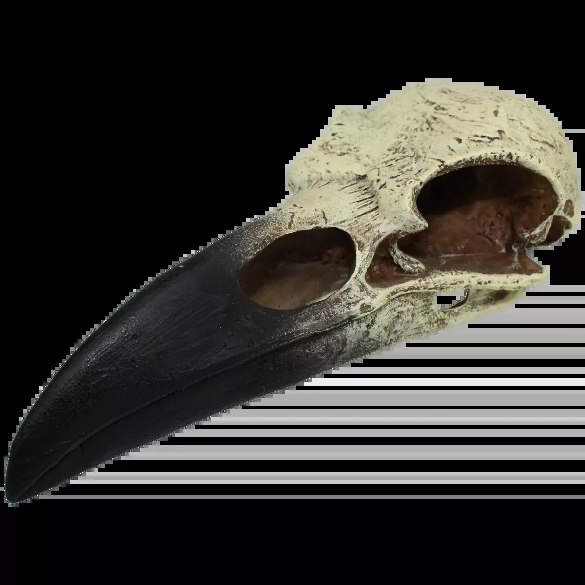 KOMODO Raven Skull Medium