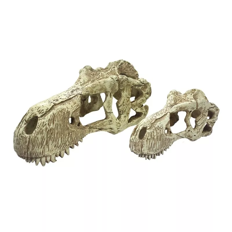 KOMODO T-REX SKULL LG